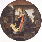 Sandro Botticelli Madonna in Adoration of the Christ Child USA oil painting artist